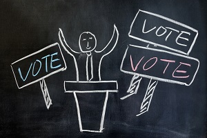 NDIA Area Director Elections NDIA Area Director Elections